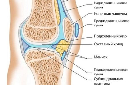 Причины возникновения, симптомы и лечение кисты коленного сустава